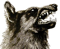 Refranes sobre el lobo en la tradición astur