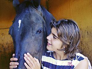 La Asociación imparte distintos tratamientos con caballos