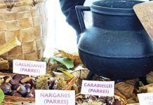 Certamen de la Castaña y Productos de la Huerta