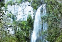 Cascada en Puente Vidosa (Ponga)