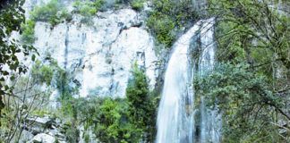 Cascada en Puente Vidosa (Ponga)