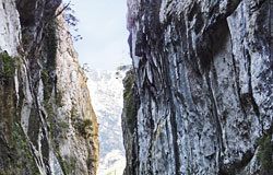 Peñas Juntas (Proaza)