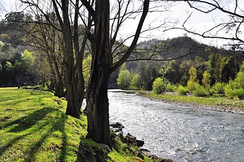 Río Nalón en Palomar, Ribera de Arriba