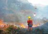 Bomberos extinguiendo un incendio forestal