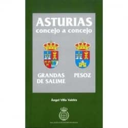 Asturias concejo a concejo. Grandas de Salime y Pesoz. Autor: Angel Villa Valdés.  Real Instituto de Estudios Asturianos