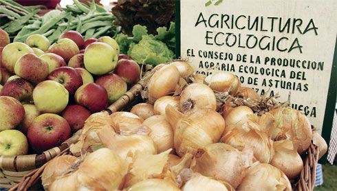 Alimentos ecológicos de Asturias
