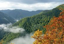 Reserva Natural de Muniellos (Cangas del Narcea)