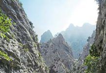 INCATUR, Asociación de Empresarios de los Picos de Europa