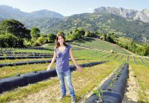 Lorena Sariego en la plantación de arándanos. Riosa, (Asturias).