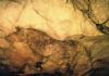 Pintura de las cuevas de Tito Bustillo