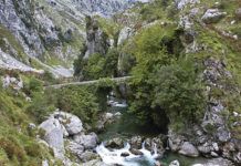 Puente La Jaya y río Cares (Cabrales)