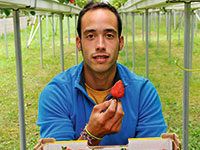 Jairo Alvarez. Se dedica la cultivo de fresas en Villamer, Riosa.
