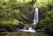Foces del río Raigosu en Laviana