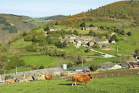 Nueva vida para el campo asturiano