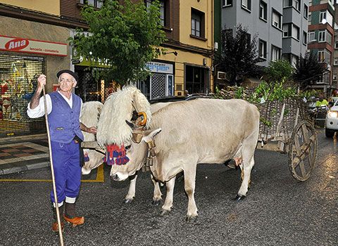 Cargüeñá en Mieres