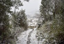 Senda Pico Cueto que une con Ruta de Los Marineros