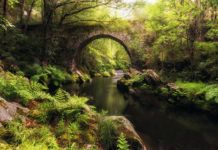 Puente sobre el río Polea