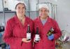 Mónica Fernández y Ricardo Suances en su fábrica de Naviega Cerveza Artesana situada en Andés (Navia)