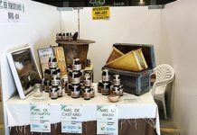 Feria de la Miel de Boal