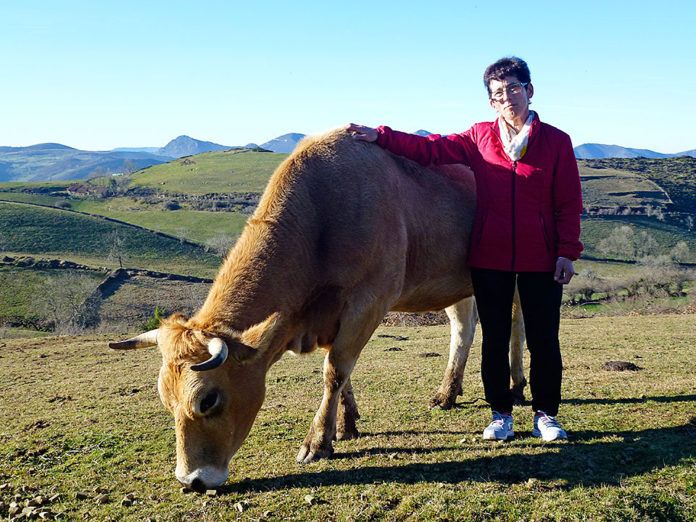 Flor González Fernández, ganadera de Belmonte de Miranda