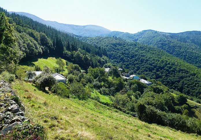 Fuentes Cabadas, Boal