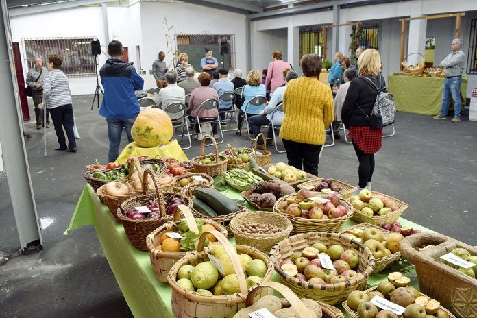 Exposición y mercado de la Cosecha de Otoño en Riosa