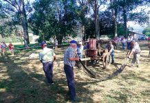 Vecinos de San Tirso separando el grano de la paja en la Fiesta de la Malla del Trigo