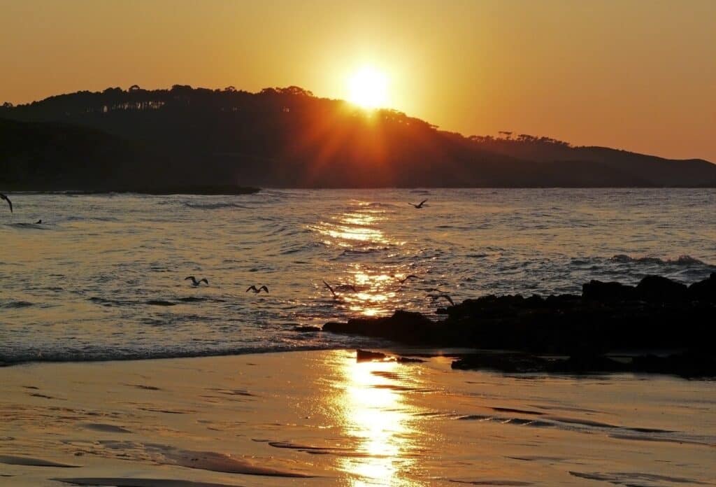 https://fusionasturias.com/galleria/mar mar