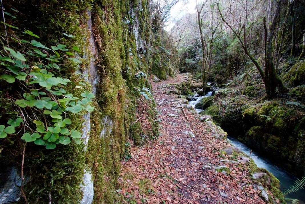 Ruta del Bosque de Beyu Pen (Amieva)