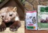 A la izda. la garduña "Mini". A la dcha., donación de piensos para distintos animales de El Bosque Zoológico