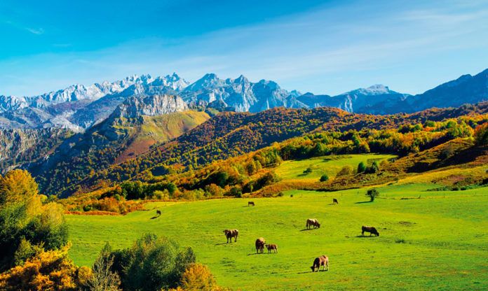 Picos de Europa