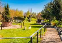 Parque de la Vida (Valdés)