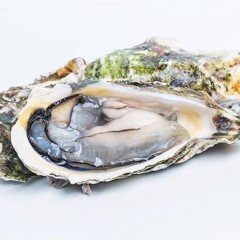https://fusionasturias.com/otras-secciones/recetas/salmorejo-con-anguila-ahumada-hinojo-de-mar-y-ostra.htm Salmorejo con anguila ahumada, hinojo de mar y ostra