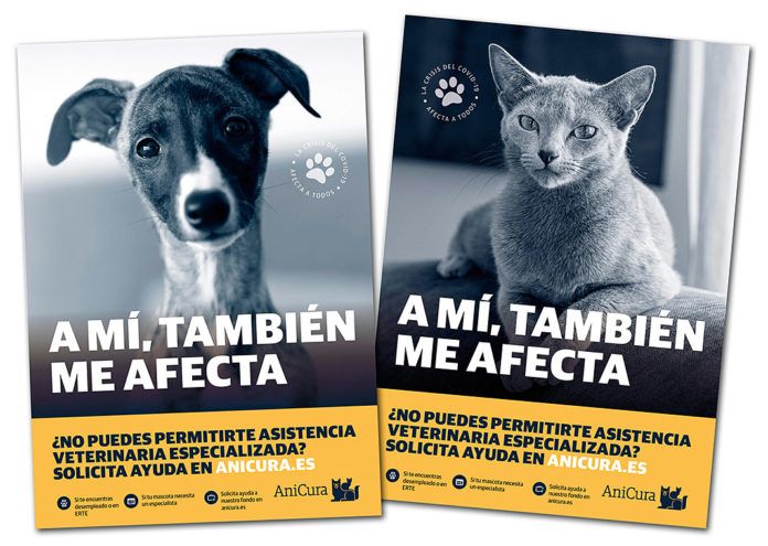 Fondo Social AniCura, ayudas al cuidado de las mascotas