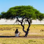 El árbol para pensar, sección de opinión en Fusión Asturias escrita por Inmaculada González-Carbajal García, presidenta de la Fundación El Pájaro Azul