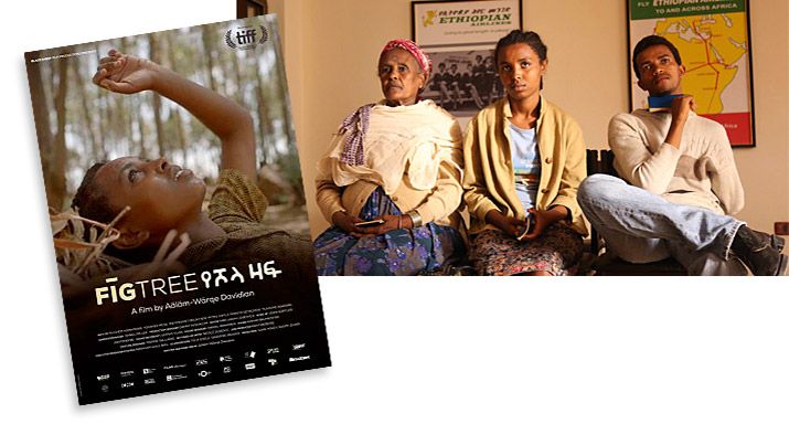 Carátula y fotograma de la película africana Fig Tree (La higuera)