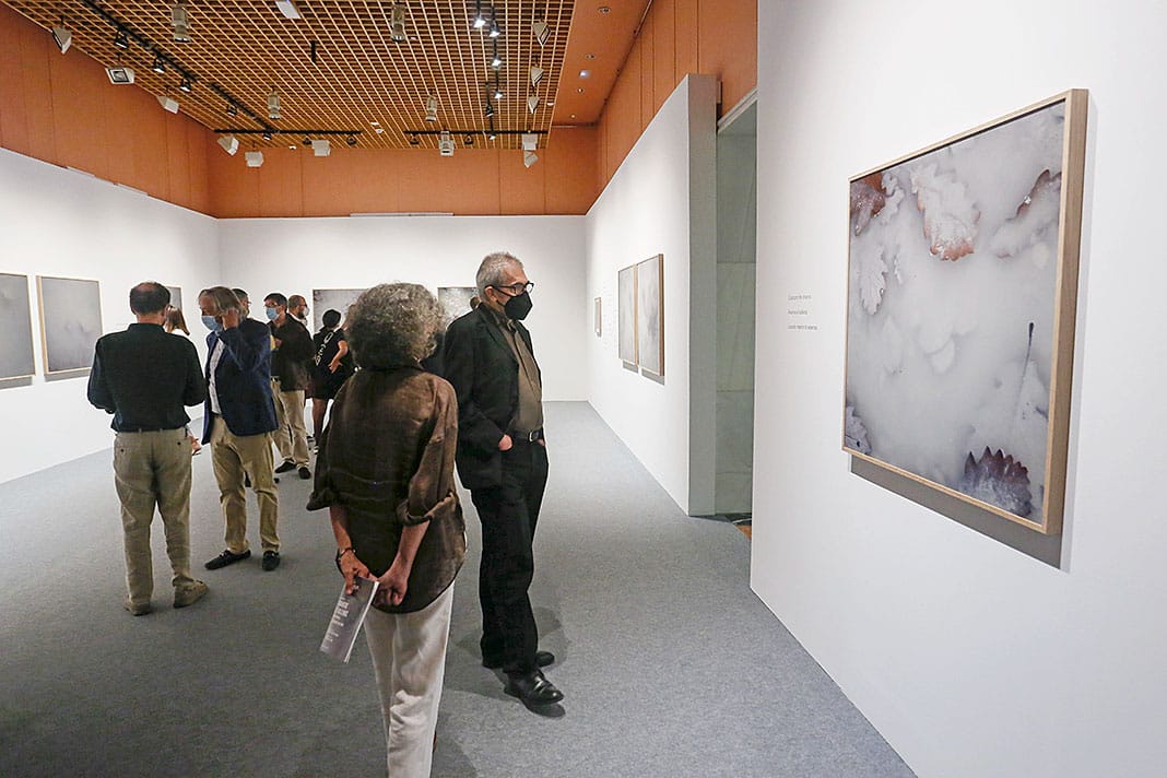 Inauguración de la exposición "Charcos y ballenas" en el Palacio del Marqués de Salamanca, sede de la Fundación BBVA en Madrid.