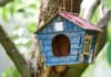 Haz tus propias cajas nido con los talleres de Biodevas