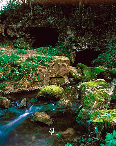 Cueva del Lloviu. Peón, Villaviciosa