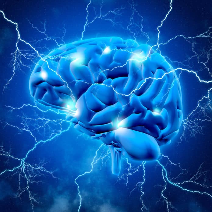 Un estudio revela una de las claves de la evolución del cerebro de los humanos modernos