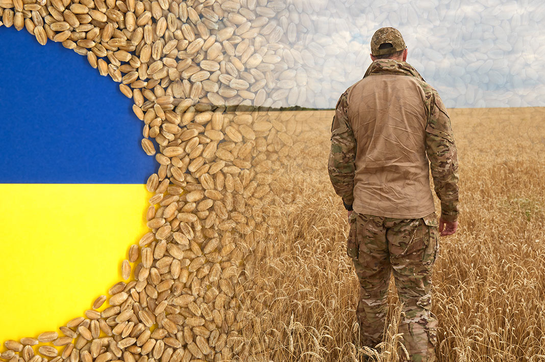 La guerra en Ucrania afecta al precio del grano en el resto del mundo.