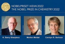 Premios Nobel de Química 2022