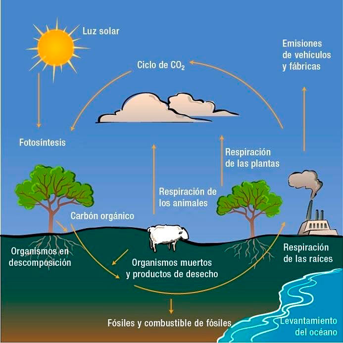 https://fusionasturias.com/opinion/el-rincon-de-la-ciencia/los-rios-emiten-una-enorme-cantidad-de-dioxido-de-co2-a-la-atmosfera.htm Los ríos emiten una enorme cantidad de CO2 a la atmósfera