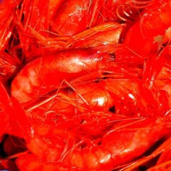 Gambas rojas