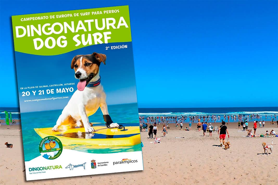 Playa de Salinas en la anterior edición del Campeonato Europeo de Surf para Perros Dingonatura Surf Dog