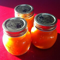 Salsa de tomate casera de "Fuego de Mortero"