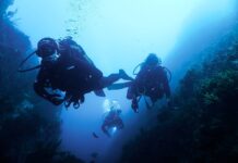 Escuela de buceo Blue Dot Diving. Parque de la Vida, Luarca (Valdés)
