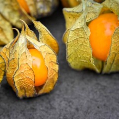 physalis