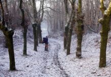 Peregrino haciendo el Camino de Santiago en invierno