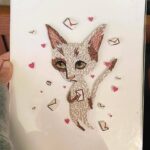 Los gatos de los ojos grandes y tristes 3 Los gatos de los ojos grandes y tristes